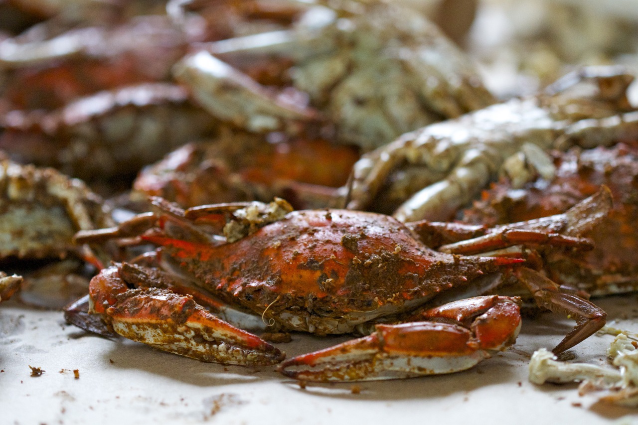 Extra Large Male Maryland Crabs (Bushel) | Jimmy's Famous Seafood
